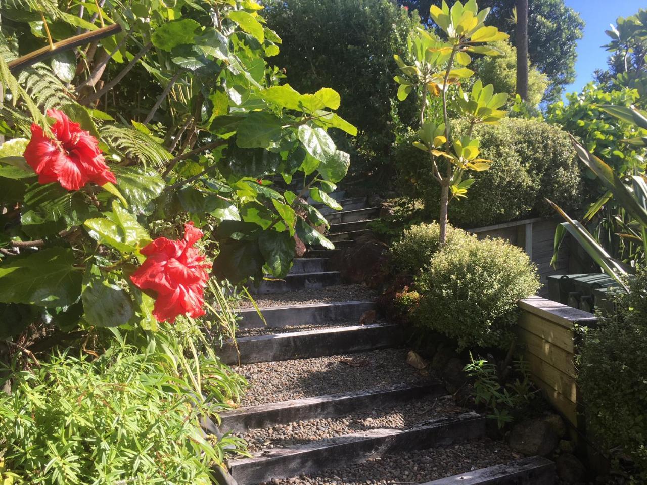 Fantail B&B Tairua Exteriör bild