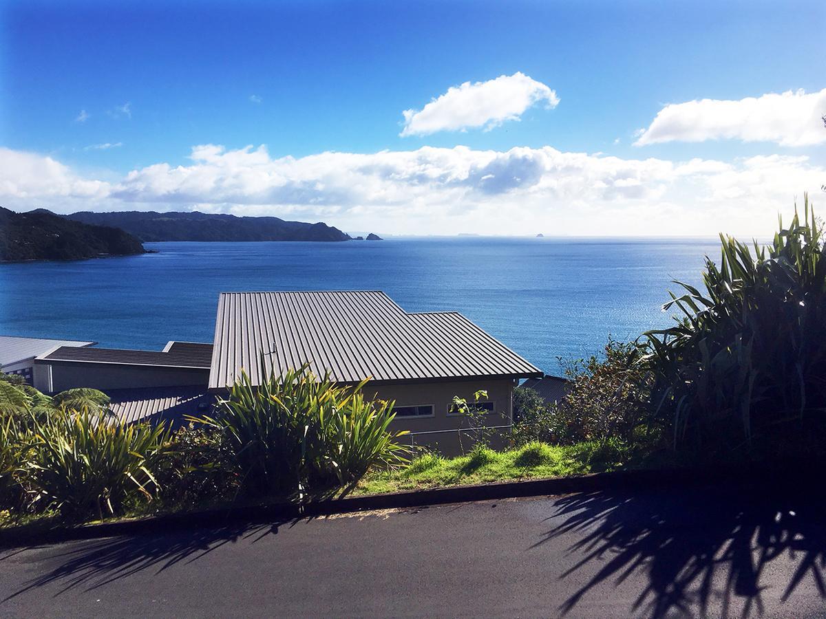 Fantail B&B Tairua Exteriör bild
